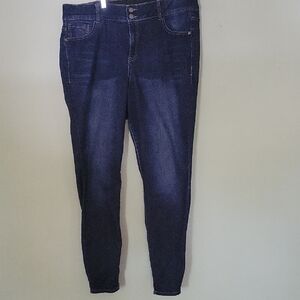 Lane Bryant Midnight Blue Skinny Jeans